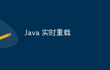 Java 实时重载