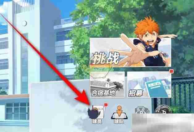 《排球少年：新的征程》球员升星方法