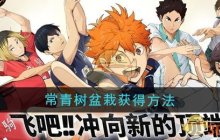《排球少年：新的征程》常青树盆栽获得方法