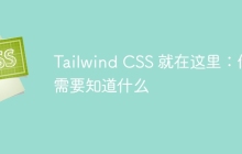 Tailwind CSS 就在这里：你需要知道什么