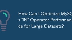 Wie kann ich die Leistung des „IN'-Operators von MySQL für große Datenmengen optimieren?