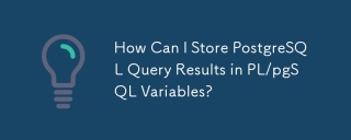 PL/PGSQL変数にPostgreSQLクエリの結果を保存するにはどうすればよいですか？