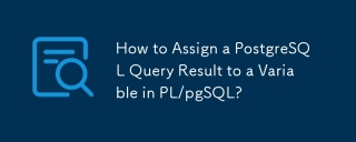 PL/PGSQLの変数にpostgreSQLクエリの結果を割り当てる方法は？