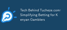 Tucheze.com 背後的技術：簡化肯亞賭徒的投注