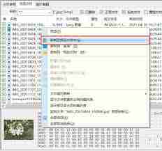 SD卡格式化还能恢复数据吗