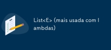 List<E>（最常與 lambda 一起使用）