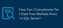 如何在SQL Server中的多個行中加入文本數據？