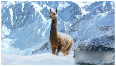 正当防卫4手游怎么装备起重气球 正当防卫4手游重气球的使用方法说明