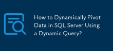 如何使用動態查詢動態透視 SQL Server 中的資料？