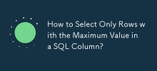 如何只選擇 SQL 列中具有最大值的行？