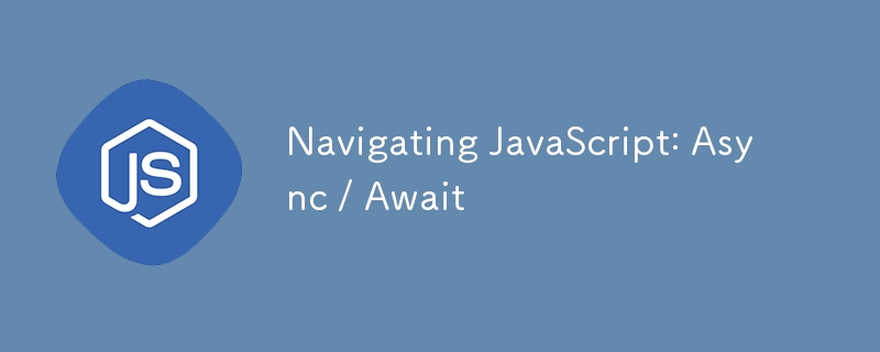 导航JavaScript：异步 /等待