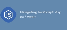 JavaScript 導航：非同步/等待