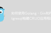 如何使用Golang，Gin和Postgresql构建CRUD应用程序