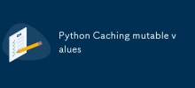 Python緩存可變值
