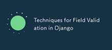 Django 中的字段驗證技術