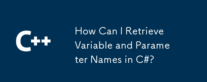 How Can I Retrieve Variable and Parameter Names in C#?-C++-php.cn