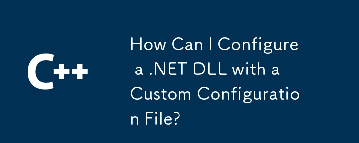 사용자 정의 구성 파일로 .net dll을 구성하려면 어떻게해야합니까?