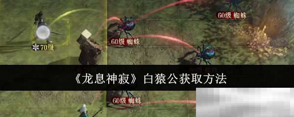 《龙息神寂》白猿公获取方法