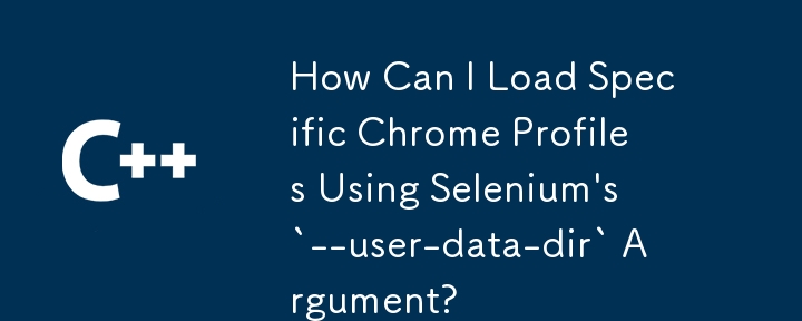 如何使用Selenium的`-user-data-dir`參數加載特定的Chrome配置文件？