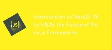 Nestjs簡介：為什麼它的Node.js Frameworks的未來