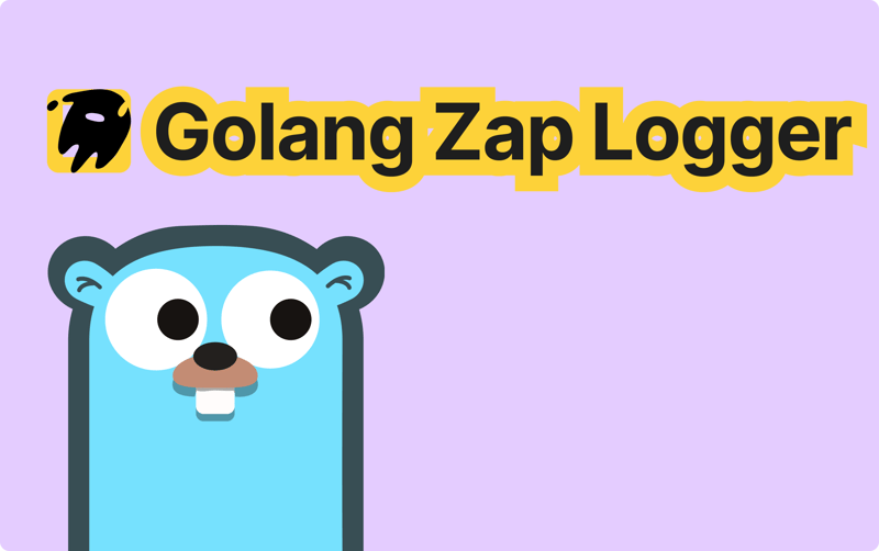 ZAP: Entsperren Sie das volle Potenzial der Anmeldung in Go