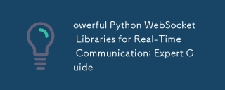 Perpustakaan Python WebSocket yang owerful untuk komunikasi masa nyata: Panduan Pakar