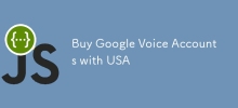 與美國購買Google語音帳戶