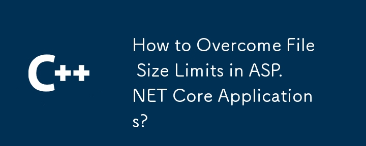 ASP.NET Core 응용 프로그램에서 파일 크기 제한을 극복하는 방법은 무엇입니까?