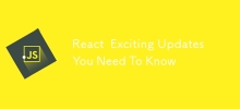 React令人興奮的更新您需要知道
