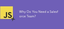 您為什麼需要一個Salesforce團隊？