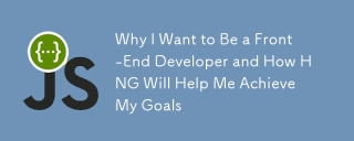 Why I Want to Be a Front-End Developer and How HNG Will Help Me Achieve My Goals