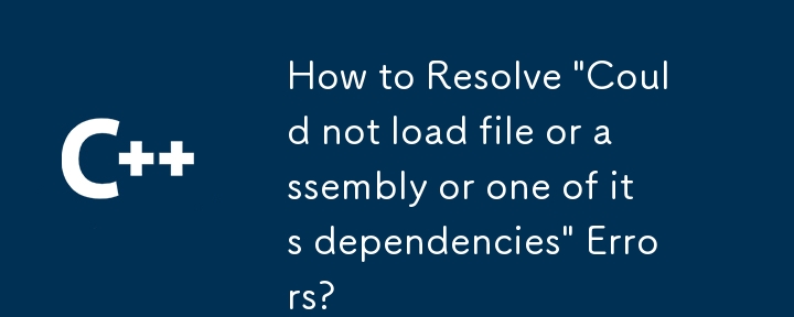 How to Resolve 'Could not load file or assembly or one of its dependencies' Errors?