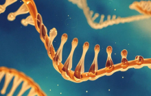 实现5Å全原子RMSD，普渡大学深度学习方法准确预测RNA三级结构，登Nature子刊