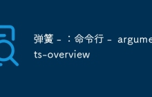弹簧 - ：命令行 -  arguments-overview