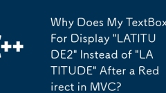 为什么我的TextBoxfor在MVC中重定向后显示' Latitude2”而不是' Latitude”?