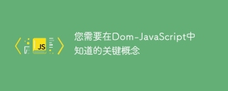 您需要在Dom-JavaScript中知道的关键概念
