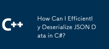 如何在C＃中有效地對JSON數據有效化？