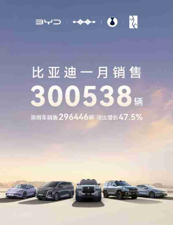 比亚迪公布1月份销售数据 共销售300538辆同比大增