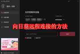 向日葵远程控制如何实现文字输入