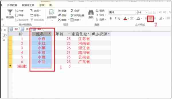 Access2013怎么更改字体?Access2013更改字体的操作方法