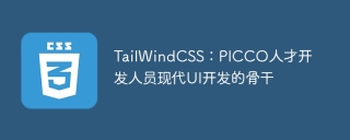 TailWindCSS：PICCO人才开发人员现代UI开发的骨干