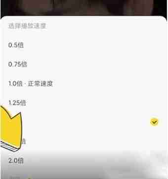 酷我音乐如何使用？酷我音乐如何倍速播放？