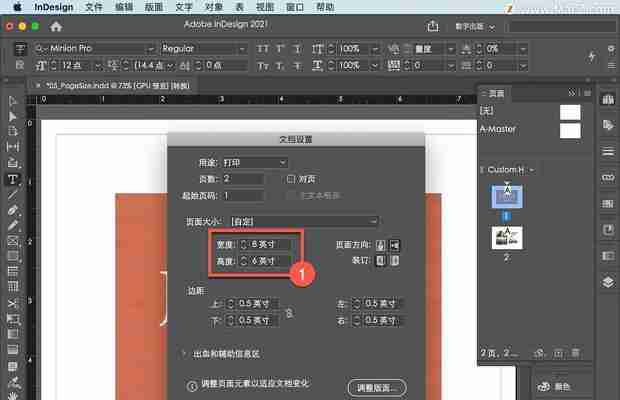如何使用indesign进行专业排版？教程分享能解决哪些常见问题？