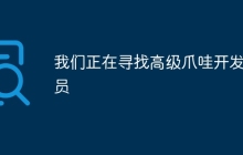 我们正在寻找高级爪哇开发人员