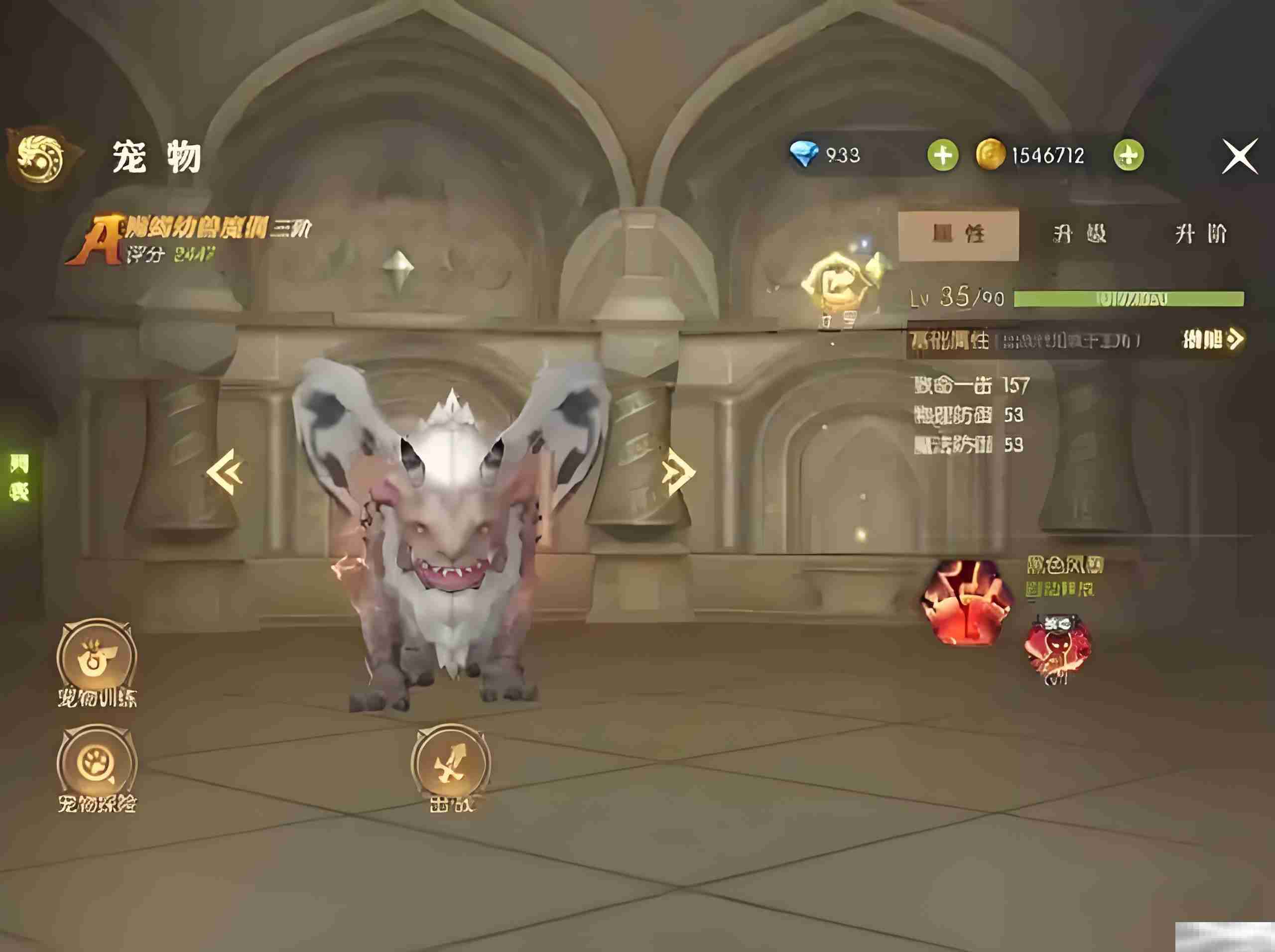 《龙之谷世界》宠物选择分析