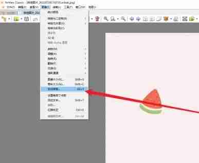 XnViewz怎么用？如何在XnView中启用自动修剪功能？