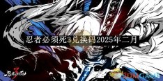 《忍者必须死3》兑换码2025年二月