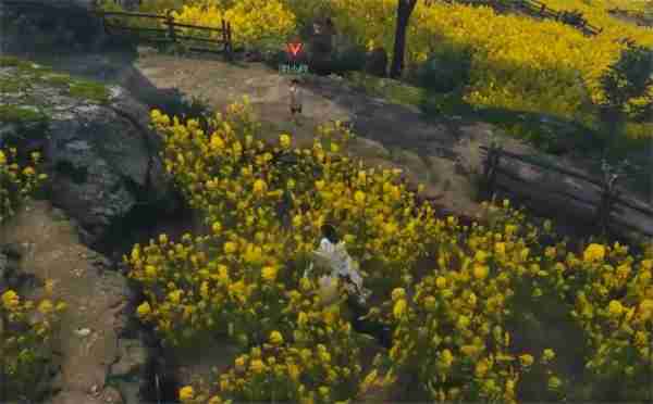 逆水寒手游缉鸡记奇遇任务攻略分享