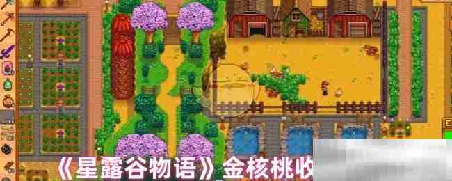 《星露谷物语》金核桃收集攻略