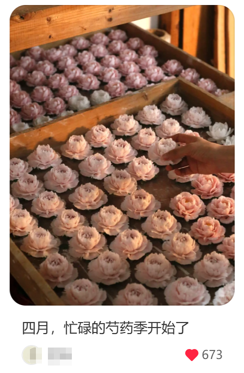 在小红书做新香氛品牌，三个月引流转化百万GMV